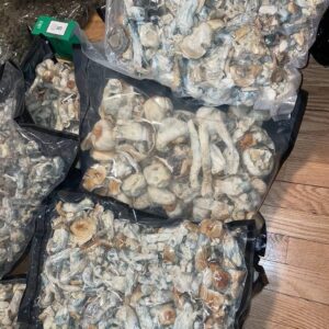 MAGIC MUSHROOM🍄